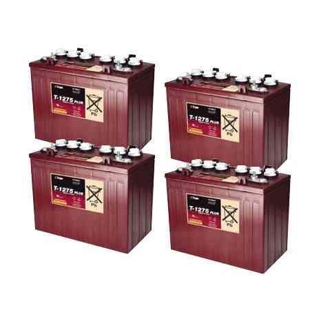 RXV 48v Battery Set